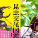 Illustration for article titled Bug Sex Book Sparks Surprising Controversy
